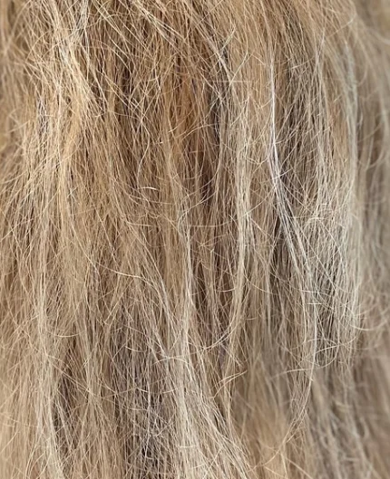 reflekser med colorboard_image8_0